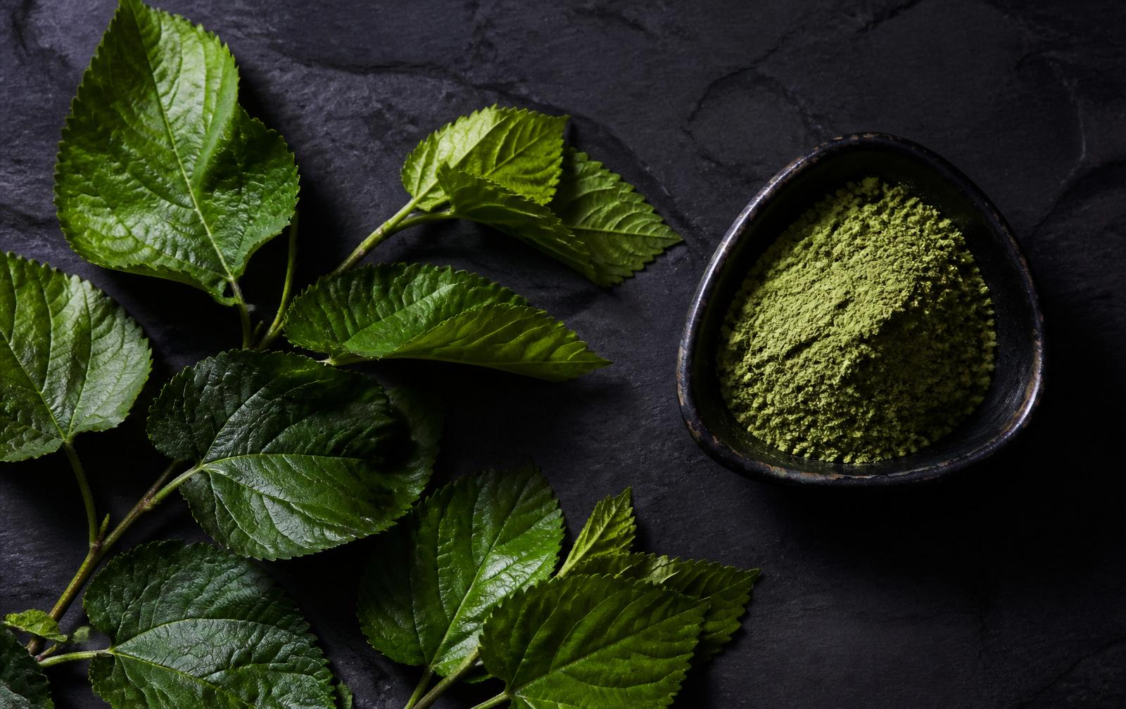 Cuenco oscuro con polvo verde claro de Mulberry Matcha Orgánica y cuchara de bambú.